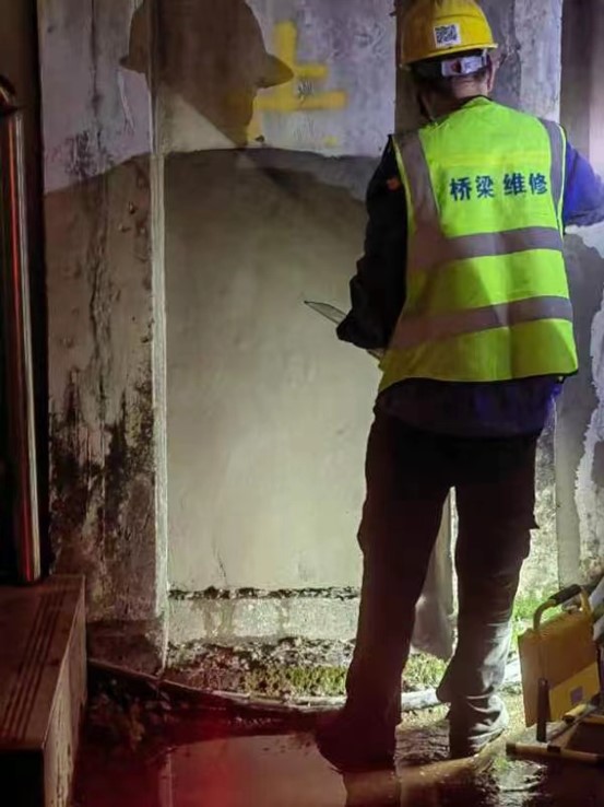 1703731866528973.jpg 圖片3.jpg